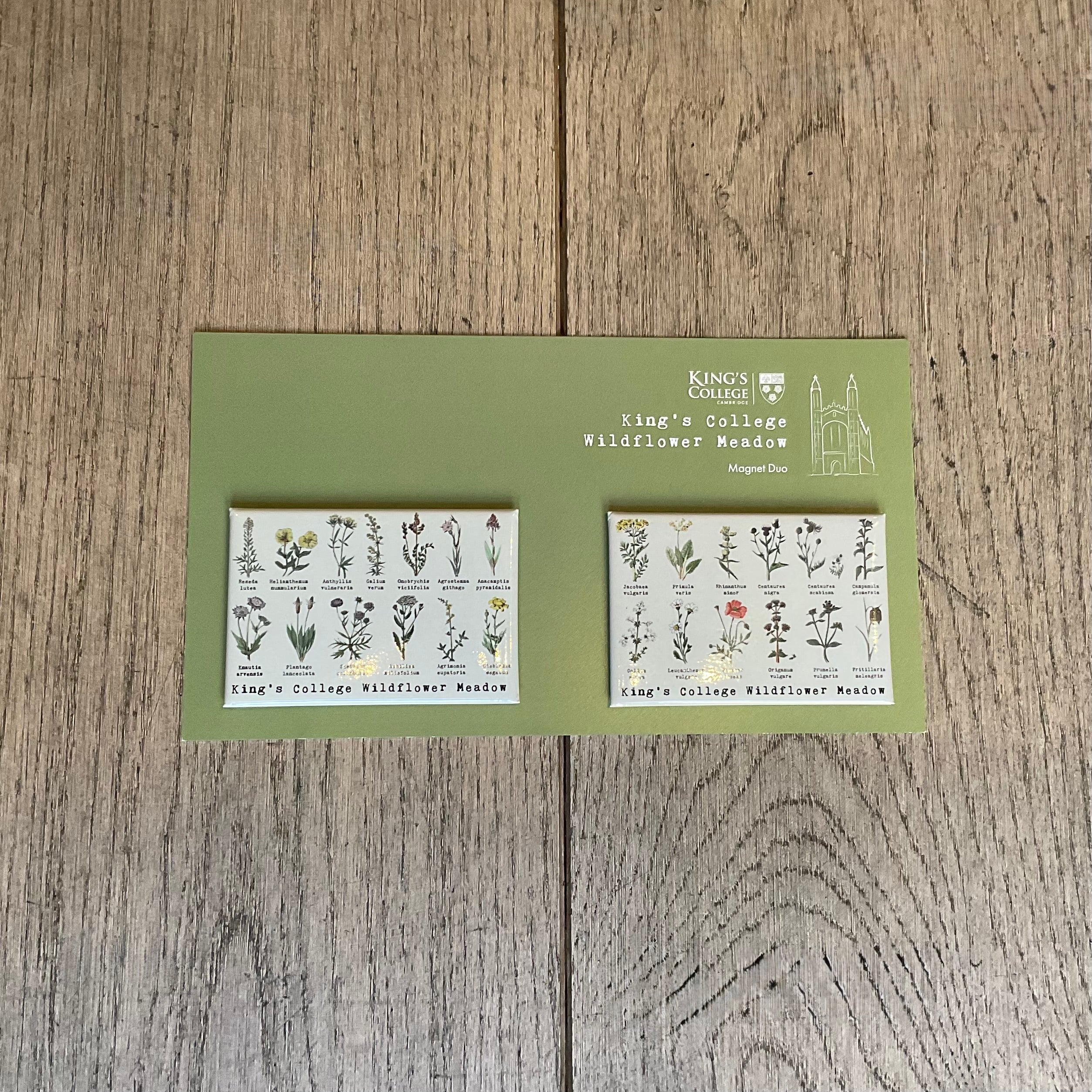 King's College Wildflower Meadow Magnet Set of 2