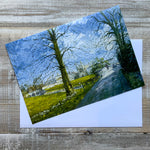 King's College in Bloom Single Greeting Card