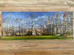King's College Unframed Board by Steve Lewis