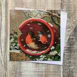 Flowerpot Robins Christmas Cards Pack of 10